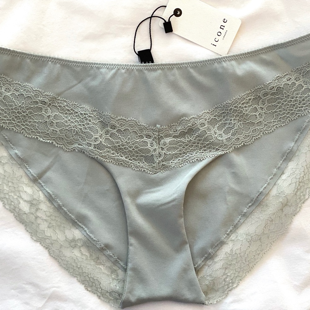 NWT Icone Lace panty